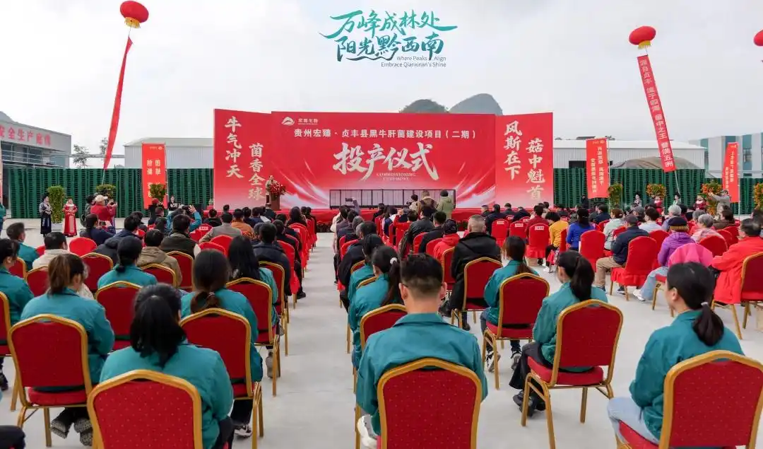 Qianxinan Zhenfeng estabelece a maior base de produção industrializada de boletos pretos da China 02.webp