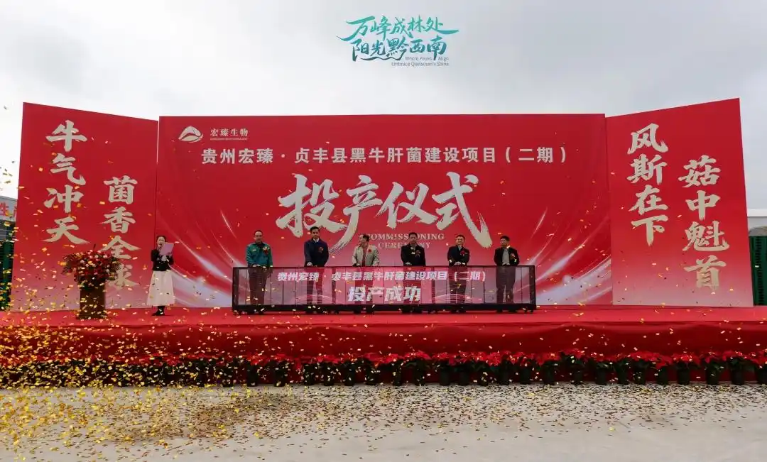 Qianxinan Zhenfeng estabelece a maior base de produção industrializada de boletos pretos da China 03.webp 
