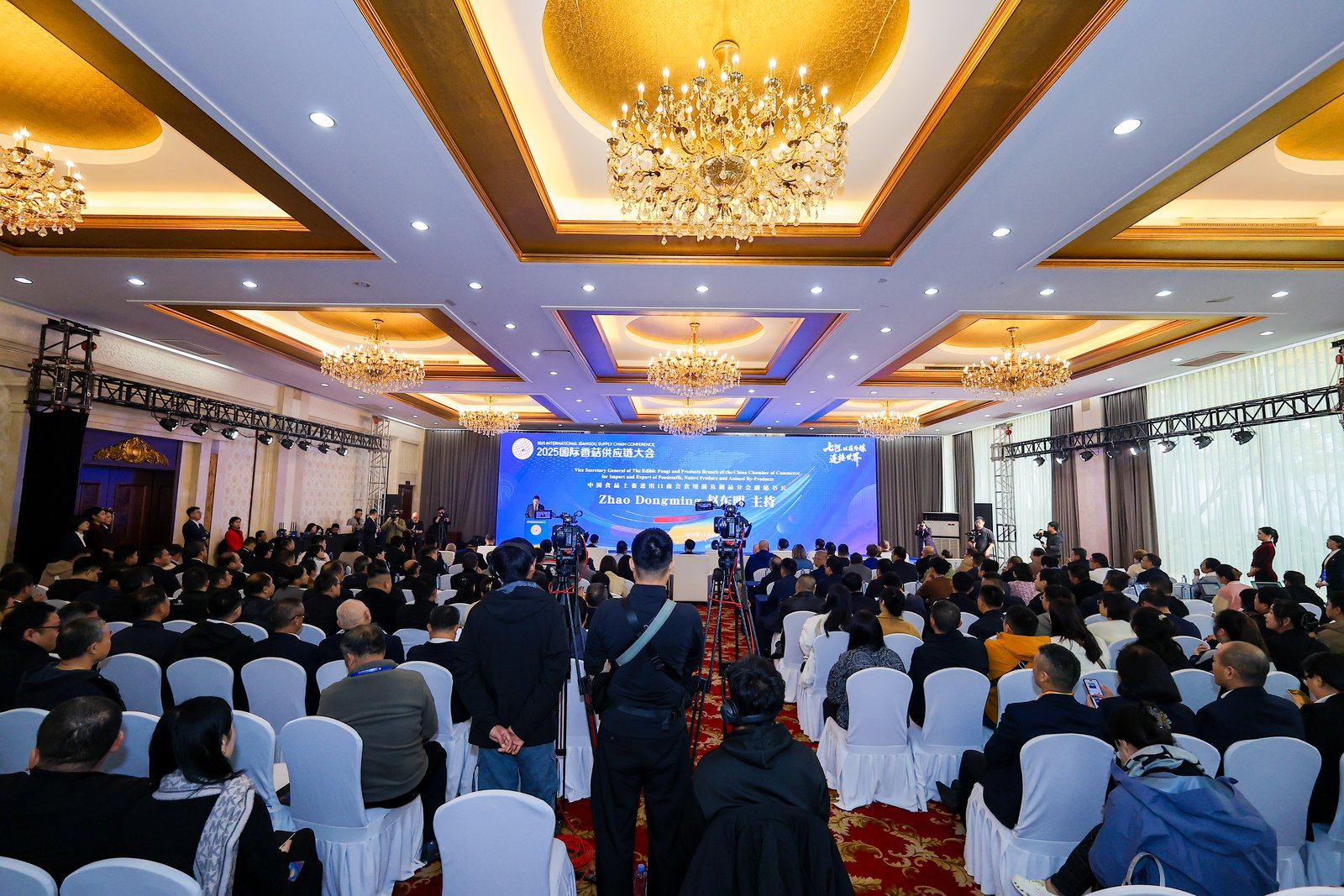 Qihe, a ligar o mundo através de cogumelos: A Conferência Internacional da Cadeia de Abastecimento de Cogumelos Shiitake de 2025 abriu grandiosamente em Zibo, Shandong 02.jpg