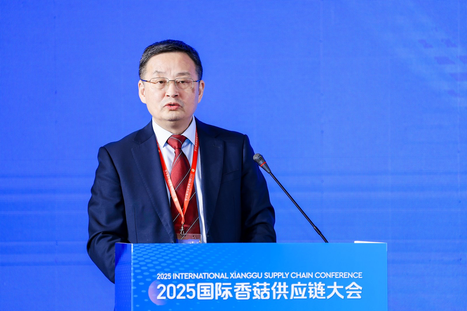 Qihe, a ligar o mundo através de cogumelos: A Conferência Internacional da Cadeia de Abastecimento de Cogumelos Shiitake de 2025 abriu grandiosamente em Zibo, Shandong 06.jpg