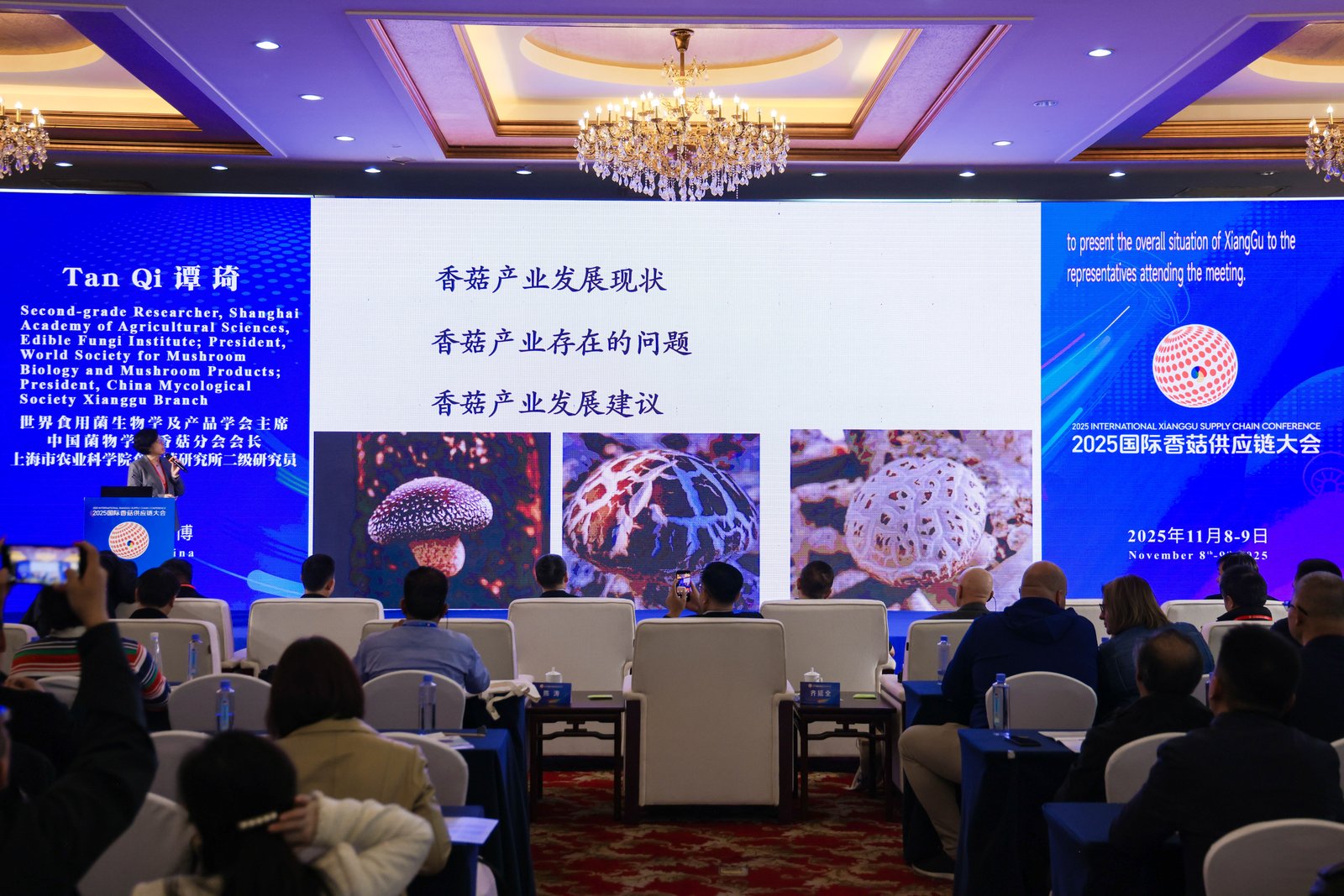 Qihe, a ligar o mundo através de cogumelos: A Conferência Internacional da Cadeia de Abastecimento de Cogumelos Shiitake de 2025 abriu grandiosamente em Zibo, Shandong 12.jpg